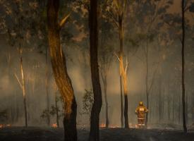 Firefighter standing in burnt smoky forest 