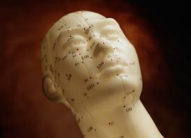Model of acupuncture points