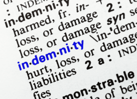 Dictionary text saying " indemnity"