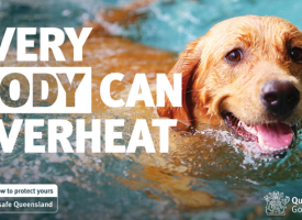Queensland Health heatwave resource