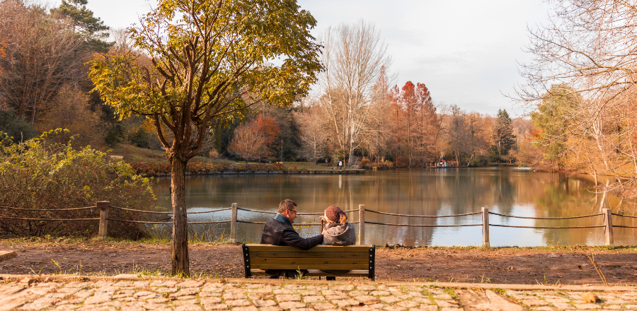 Couple sitting on bench